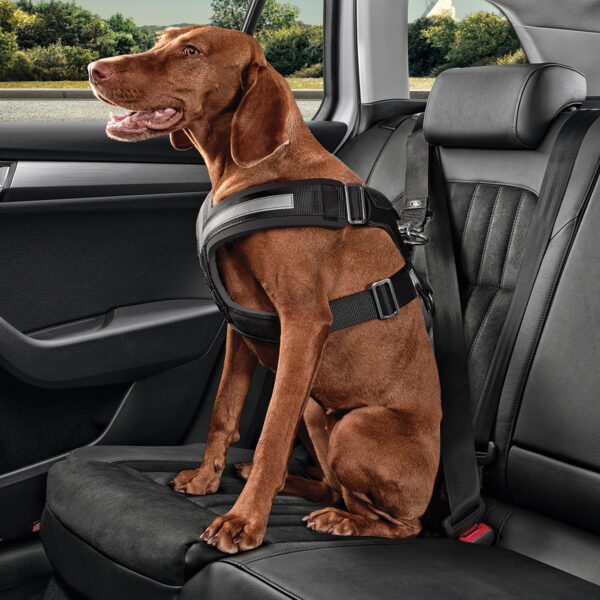Škoda Dog Safety Belt Extra Large